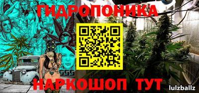 бошки Шахты