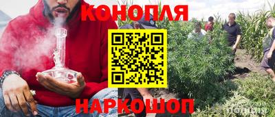 a pvp Шебекино