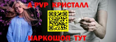 крисы Шелехов