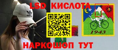 крисы Шелехов