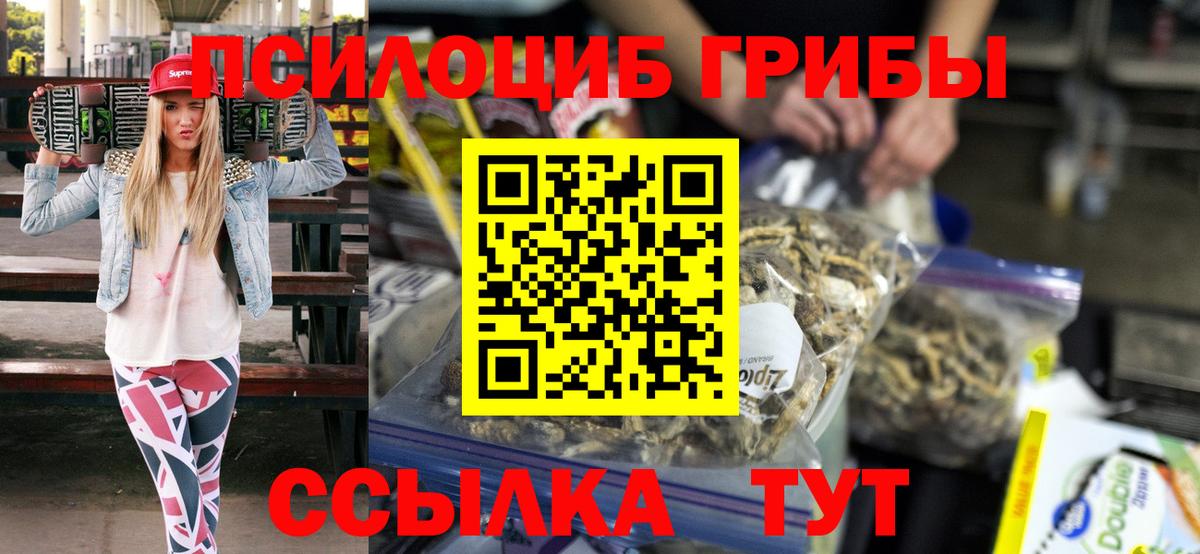 Псилоцибиновые грибы Cubensis Лысьва